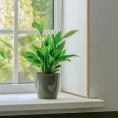 Плинтус сосна 2х2500